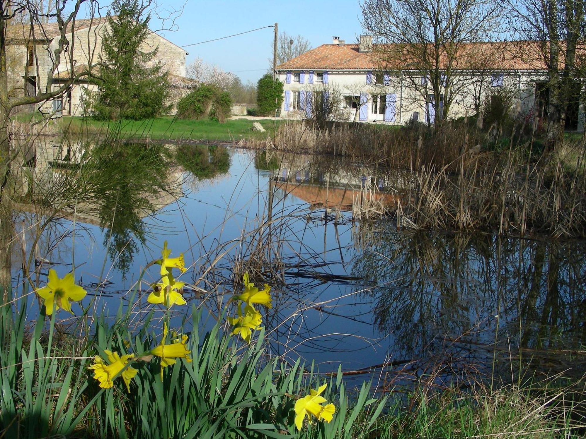 Chambres D'Hotes Entre Niort Et Marais Poitevin Bessines Exterior foto